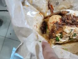 Ada Kecoa di Dalam Nasi Rames, Pasien Rumah Sakit Mitra Plumbon Keluhkan Makanan Itu