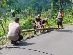 Program Bhatramas, Bhabinkamtibmas Bantu Singkirkan Pohon Tumbang