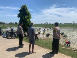 Polisi Blusukan Sambangi Petani Yang Sedang Garap Sawahnya Sembari Berikan Himbauan Kamtibmas