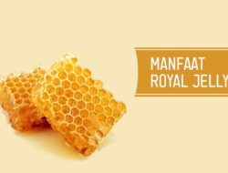 Jangan Diremehkan, Ini Manfaat Royal Jelly untuk Kesehatan Tubuh