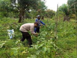 Giat Blusukan, Bripka Harya Sambang Silaturahmi Dalam Rangka Jaga Kamtibmas