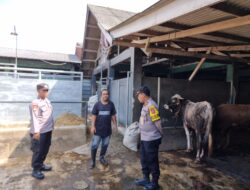 “Blusukan” Jelang Idul Adha, Personil Polsek Cikijing Kembali Datangi Rumah Potong Hewan.