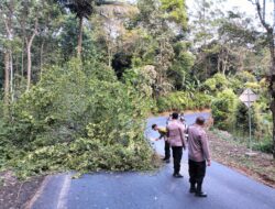 Polisi di Majalengka Evakuasi Pohon Tumbang Yang Menghalangi Jalan Maja – Banjaran
