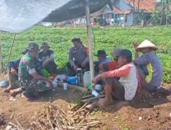 Kompak! Bhabinkamtibmas dan Babinsa Melaksanakan Giat “Ngobrol Mas” Dengan Petani Ubi
