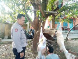 Bhabinkamtibmas Polsek Dawuan AIPTU Budi Sunarya Dampingi Warga Yang Sedang Melaksanakan Qurban di Wilayah Binaan