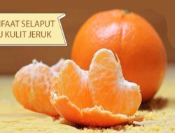 Jangan Dibuangin, Ini Manfaat Konsumsi Jeruk Bersama Serabut Putihnya