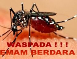 El Nino Pengaruhi Naiknya Kasus DBD, Kemenkes: Tahun Ini Harus Waspada