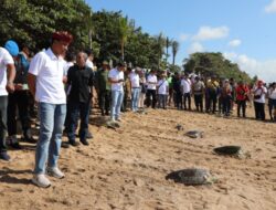 Jelang Hari Bhayangkara ke-77, Polda Bali Lepas Satwa Penyu
