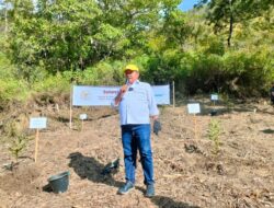 CSR PT Inalum, Lamhot Apresiasi Program Penanaman Pohon Macadamia Nut