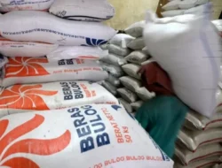 Antisipasi Dampak El Nino, Bulog Siapkan Beberapa Strategi Untuk Memastikan Stok Beras Aman