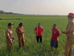 Selamatkan Para Petani, Bupati Nina Minta Digelontorkan Tambahan Pasokan Air
