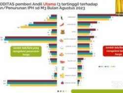 RAKOR INFLASI, HARGA CABE RAWIT MERANGKAK NAIK