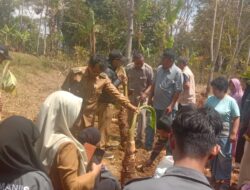 HUT RI Ke-78, Perkumpulan Kampung Lebak Honje Kreatif (KLHK), Tanam Talas Beneng Berharap Rakyat Lebih Sejahtera