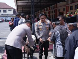 Kapolres Majalengka Serahkan 11 Ekor Kambing Hasil Curian Kepada Pemiliknya