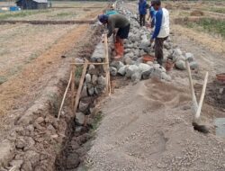 Pemdes Cicadas Alokasikan DD Tahap 2, Untuk Pekerjaan Pembangunan Jalan Usaha Tani di Dusun Cangkuang
