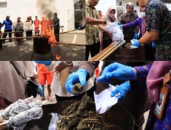 BNN PROVINSI ACEH MELAKSANAKAN PEMUSNAHAN BARANG BUKTI NARKOTIKA