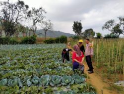 Sambangi Petani, Bhabinkamtibmas Polsek Cikijing Sampaikan Pesan Kamtibmas