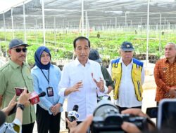 Persemaian Mentawir Hampir Selesai, Presiden: Ini untuk Hijaukan IKN