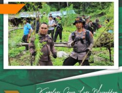 Kapolres Gayo Lues, Musnahkan 5 Hektar Ladang Ganja