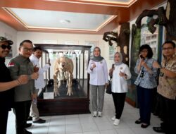 Legislator Ajak Pihak Terkait Lestarikan Habitat Badak Jawa