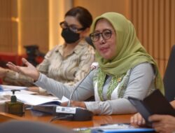 Pemerintah Harus Turun Tangan Atasi Sindrom ‘Baby Blues’ pada Ibu