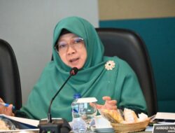 Anis Byarwati Soroti Sisa Dana PMN yang Tidak Terserap BUMN