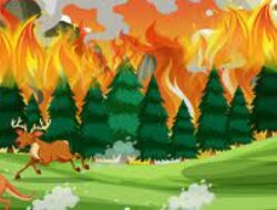 Cegah Karhutla, BMKG Imbau Masyarakat di Wilayah Ini Tidak Bakar Lahan