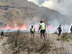 Pelaku Kebakaran Hutan Bromo Denda 1,5 Miliar Dinilai Kurang Oleh BNPB