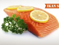 Dahsyat, Ini Lima Manfaat Konsumsi Sashimi Salmon Bagi Kesehatan