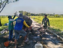 Karya Bakthi Babinsa Simo dalam pengecoran Jalan Desa Binaan