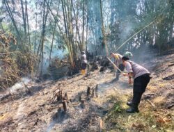 Personil Polsek Cikijing Bersama Babinsa Dan Warga Berjibaku Padamkan Kebakaran Lahan.