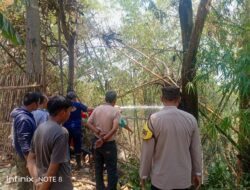 Polsek Kadipaten Bertindak Cepat Amankan Lokasi Pasca Kebakaran Lahan Bambu Milik Warga
