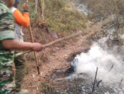 Aparat Gabungan Berjibaku Padamkan Kebakaran Lahan