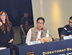 Apsifor Ungkap Kepribadian David Kasus Depok: Indikasi Skizoid, Depresi