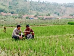 Sambangi Petani, Bhabinkamtibmas Polsek Cikijing Sampaikan Imbauan Kamtibmas
