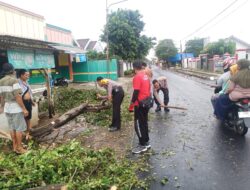 Anggota Polsek Palasah Bersinergi Bersihkan Pohon Tumbang di Jalan Raya