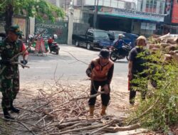 Antisipasi Pohon Tumbang, Babinsa Serengan Bantu Tebang Pohon & Ranting