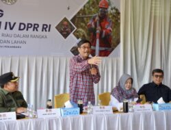 Djarot Apresiasi Penurunan Kasus Kebakaran Hutan dan Lahan di Riau