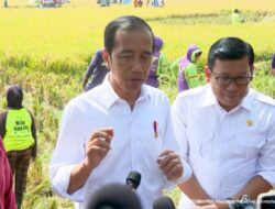 Ketua KPK Firli Bahuri Jadi Tersangka, Jokowi: Hormati Semua Proses Hukum