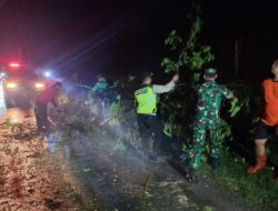 Hujan disertai Angin di selatan Waduk Mulur, Babinsa Gerak cepat Koordinasi dan atasi pohon tumbang