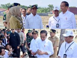 Presiden Jokowi Tinjau Penanaman Padi dan Serap Aspirasi Petani di Pekalongan