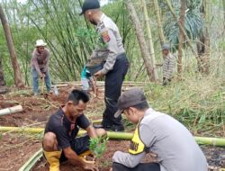 Mewaspadai Bencana Alam, Bhabinkamtibmas Polsek Bantarujeg Gelar Kerja Bakti dan Penanaman Pohon di Wilayah Rawan