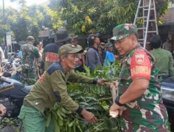Babinsa Danukusuman Gandeng Linmas & Tim Saberling Kerja Bakti Potong Ranting Pohon