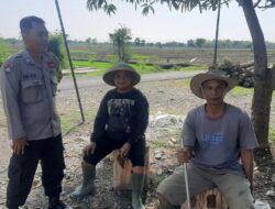 Bhabinkamtibmas Polsek Jatitujuh Pererat Hubungan dengan Petani Melalui Kegiatan Sambang di Lahan Sawah