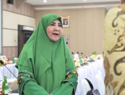 Perlu Ada Regulasi terkait Investasi di Hulu Guna Bangun Kedaulatan Pertahanan