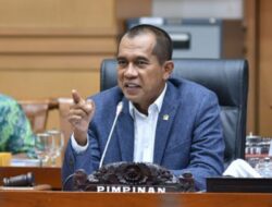 Perlu Ada Tindakan Tegas dan Terukur terkait Teror Kekerasan yang Dilakukan KKB Papua