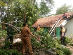 Upaya Bersama Pemulihan Pasca Hujan Deras dan Angin Kencang di Kelurahan Cijati