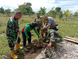 Peduli Kelestarian alam dan Lingkungan, Koramil 1714/Jatitujuh Lakukan Penanaman Pohon