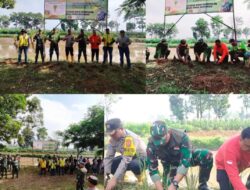 SEKTOR 6 CITARUM HARUM MELAKSANAKAN PENANAMAN VERTIVER UNTUK MENCEGAH LONGSOR DI BANTARAN SUNGAI CITARUM