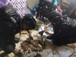 Tim Gegana Amankan Ratusan Butir Peluru dan Granat di Depok
